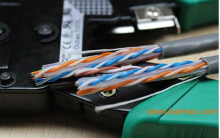 国标网线批发 选择专业生产厂家，确保价格与品质双优